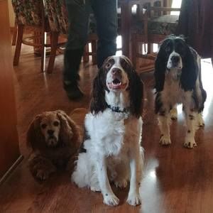 Meet your Posher, Irene